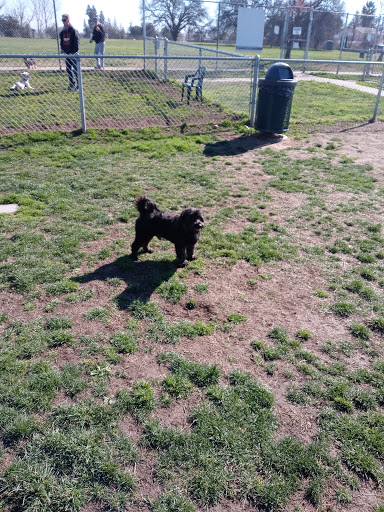 Dog Park «Phoenix Dog Park», reviews and photos, 9050 Sunset Ave, Fair Oaks, CA 95628, USA