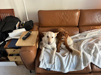 Gail’s Grooming - Photo 4 - Car repair in Stamford, CT, Stamford