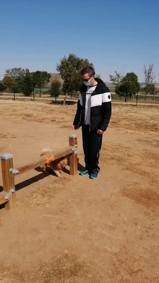 Parque canino Los Miradores