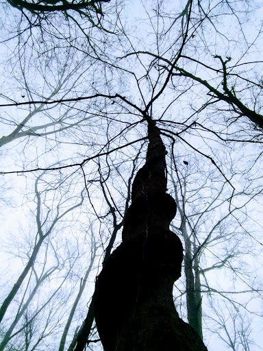 Nature Preserve «Kelley Nature Preserve», reviews and photos, 297 OH-126, Loveland, OH 45140, USA