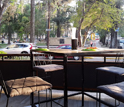 Botanero Veintiuno Providencia photo