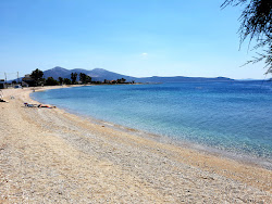 Φωτογραφία του Mouse beach ubicado en área natural