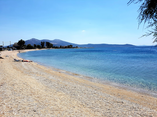 Mouse beach