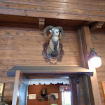 Photo n°9 de l'avis de Ago.i fait le 23/08/2020 à 20:57 sur le  La Casa di Caccia à Pietrapertosa