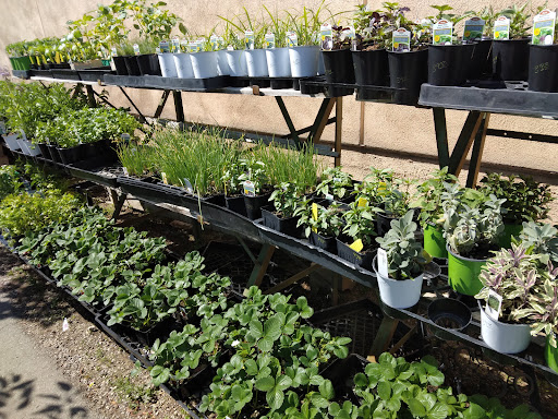 Plant Nursery «San Gabriel Nursery & Florist», reviews and photos, 632 S San Gabriel Blvd, San Gabriel, CA 91776, USA