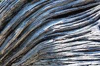 Deep Water Soul Care - Photo 8 - Car repair in , Longmont