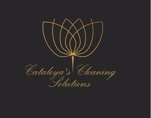 Cataleya Cleaning Solution - <nil>