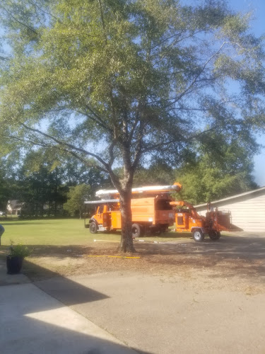 American Tree Service & Stump Removal