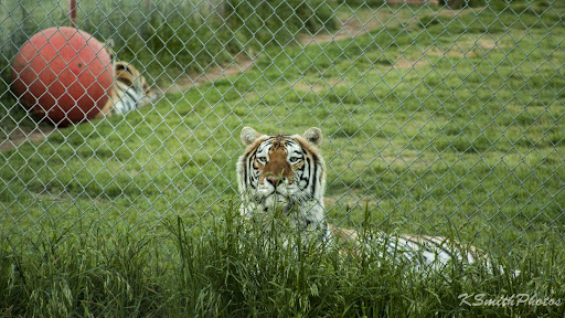 Research Institute «Center For Animal Research and Education (CARE)», reviews and photos, 245 Co Rd 3422, Bridgeport, TX 76426, USA