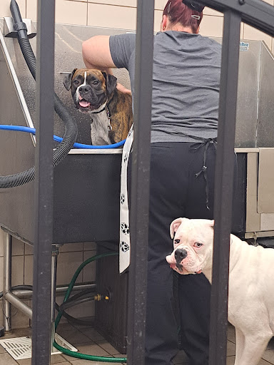 Pet Supply Store «Pet Supplies Plus», reviews and photos, 15060 Eureka Rd, Southgate, MI 48195, USA