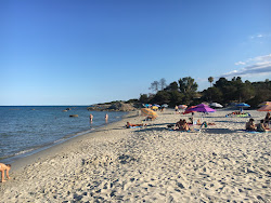Spiaggia di Musculedda'in fotoğrafı - rahatlamayı sevenler arasında popüler bir yer