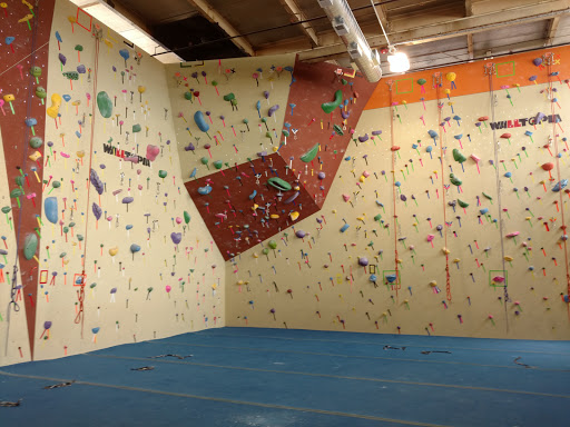 Rock Climbing Gym «Philadelphia Rock Gym - Wyncote», reviews and photos, 827 Glenside Ave #200, Wyncote, PA 19095, USA