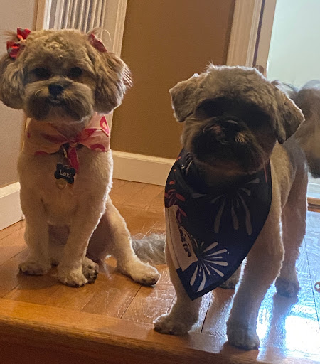 Pet Supply Store «PetSmart», reviews and photos, 88 Dunning Rd, Middletown, NY 10940, USA