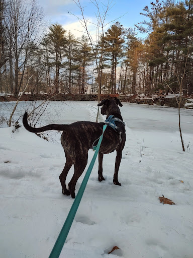 Augusta Nature Ed. Center Entry 13