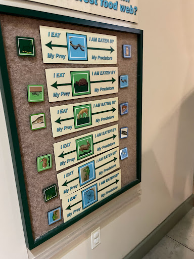 County Government Office «Brevard County Enchanted Forest Sanctuary», reviews and photos, 444 Columbia Blvd, Titusville, FL 32780, USA