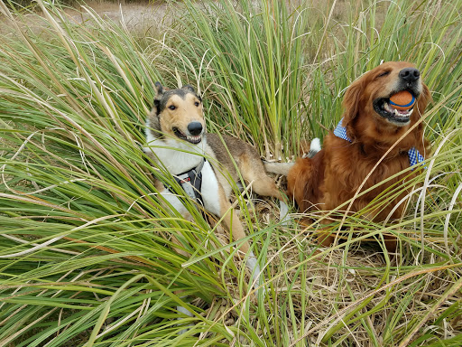 Pet Supply Store «Mini Pet Mart», reviews and photos, 815 S Broadway, Coos Bay, OR 97420, USA