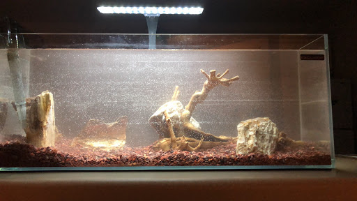 Pet Store «Critter Cabana - Wilsonville», reviews and photos, 8406 SW Main St #200, Wilsonville, OR 97070, USA