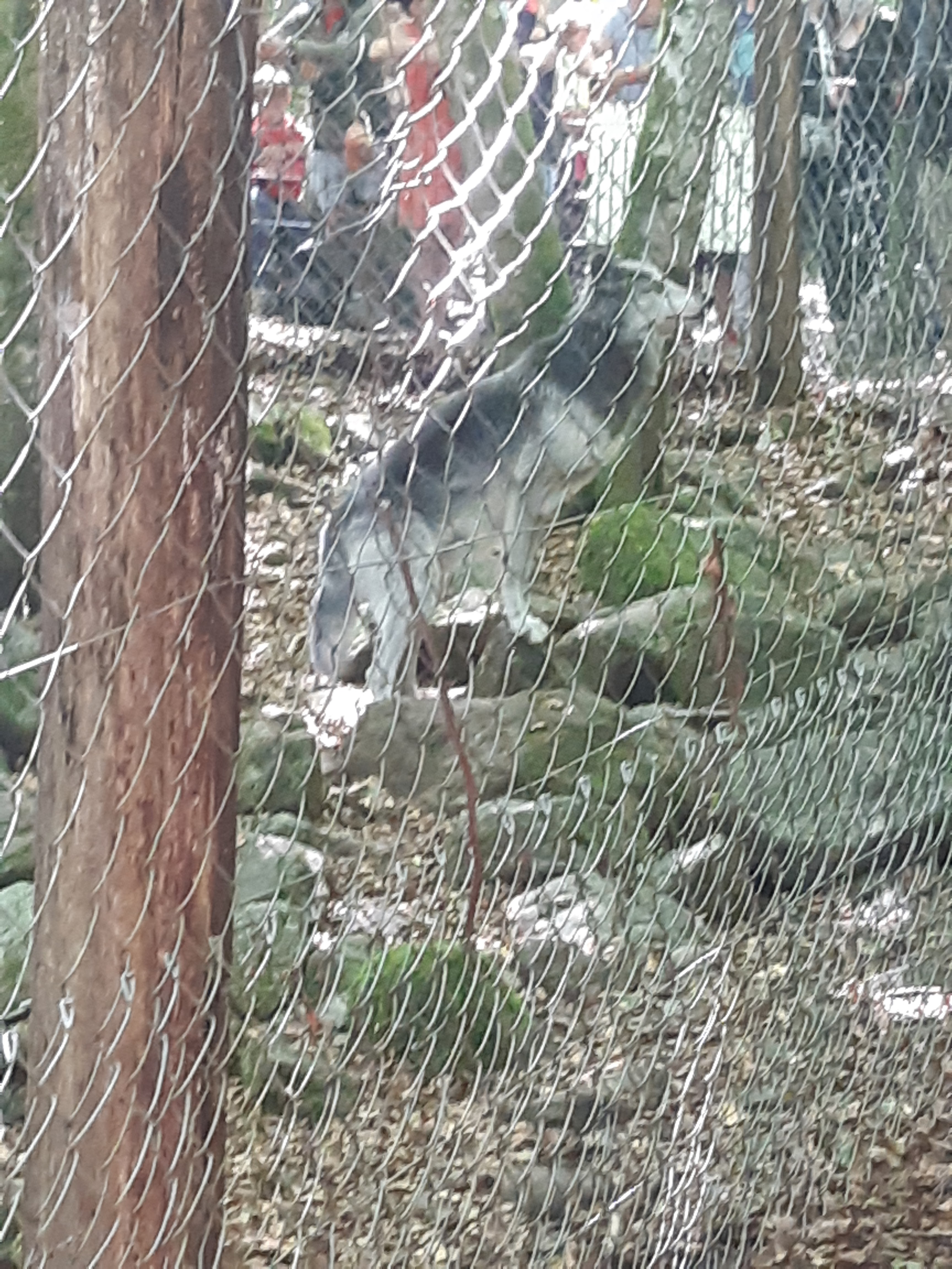 Photo n° 3 de l'avis de M. fait le 26/07/2020 à 16:22