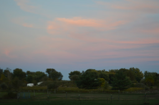 HVAC Contractor «BW/Cook Service Experts», reviews and photos