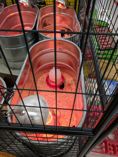 Home Improvement Store «Tractor Supply Co.», reviews and photos, 3791 AL-14, Millbrook, AL 36054, USA