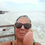 Photo n°2 de l'avis de Biancamaria.e fait le 14/09/2017 à 12:50 sur le  Il Venezia à Ostia