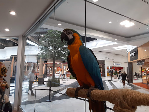 Movie Theater «Regal Cinemas River Ridge 14», reviews and photos, 3411 Candlers Mountain Rd, Lynchburg, VA 24502, USA