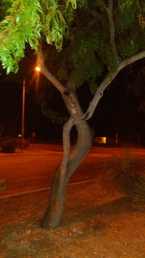 Park «Goynes Park», reviews and photos, 3909 W Washburn Rd, North Las Vegas, NV 89031, USA