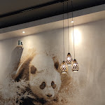 Photo n°2 de l'avis de Carsten.e fait le 28/01/2022 à 16:24 sur le  Café Panda à Fulda