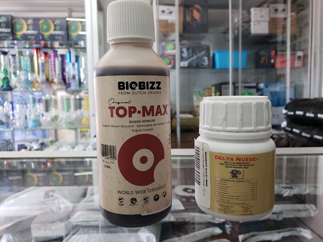 Comentarios y opiniones de Growshop Outlet Weed | La Florida