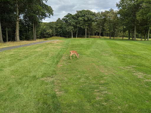 Golf Course «Rockland Lake Exec Golf Course», reviews and photos, 100 Lake Rd, Congers, NY 10920, USA
