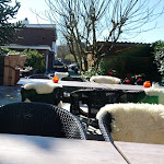 Photo n°4 de l'avis de Thorsten.r fait le 17/04/2019 à 10:17 sur le  Beach Hotel California à Schönberg