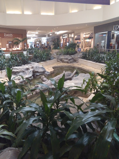 Shopping Mall «Mall St. Vincent», reviews and photos, 1133 St Vincent Ave #200, Shreveport, LA 71104, USA