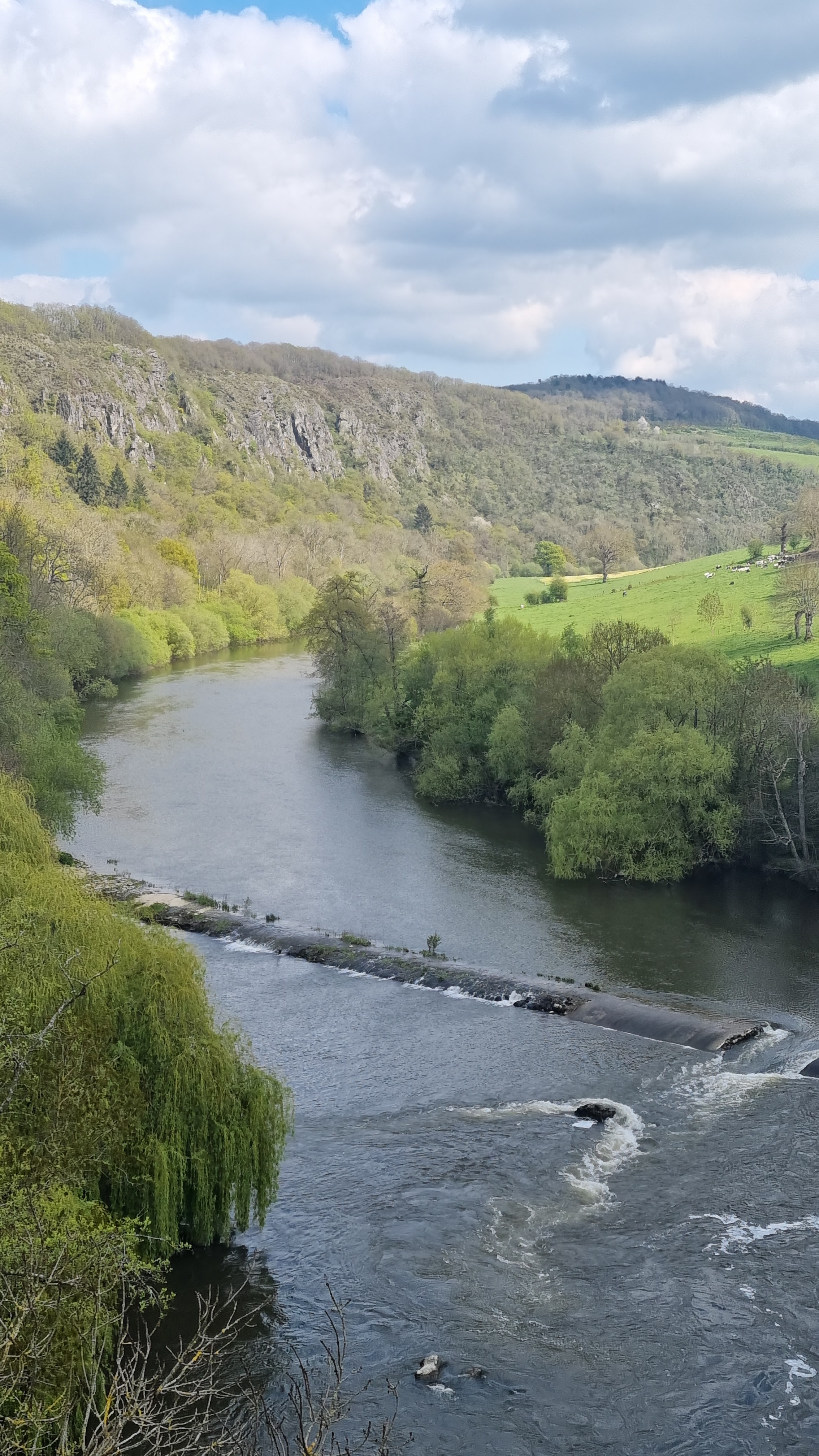 Photo n° 1 de l'avis de Sylvie.o fait le 21/04/2023 à 19:22