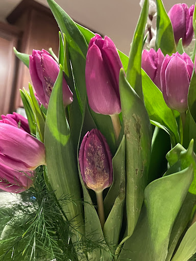 Florist «Flowers By Katarina Inc», reviews and photos, 608 Pulaski Hwy, Joppa, MD 21085, USA