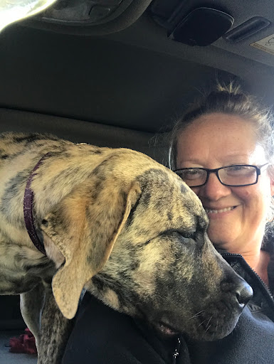 Beloit Animal Hospital image