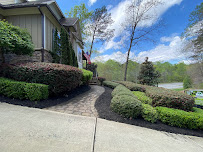 Associate Landscaping & Tree Service