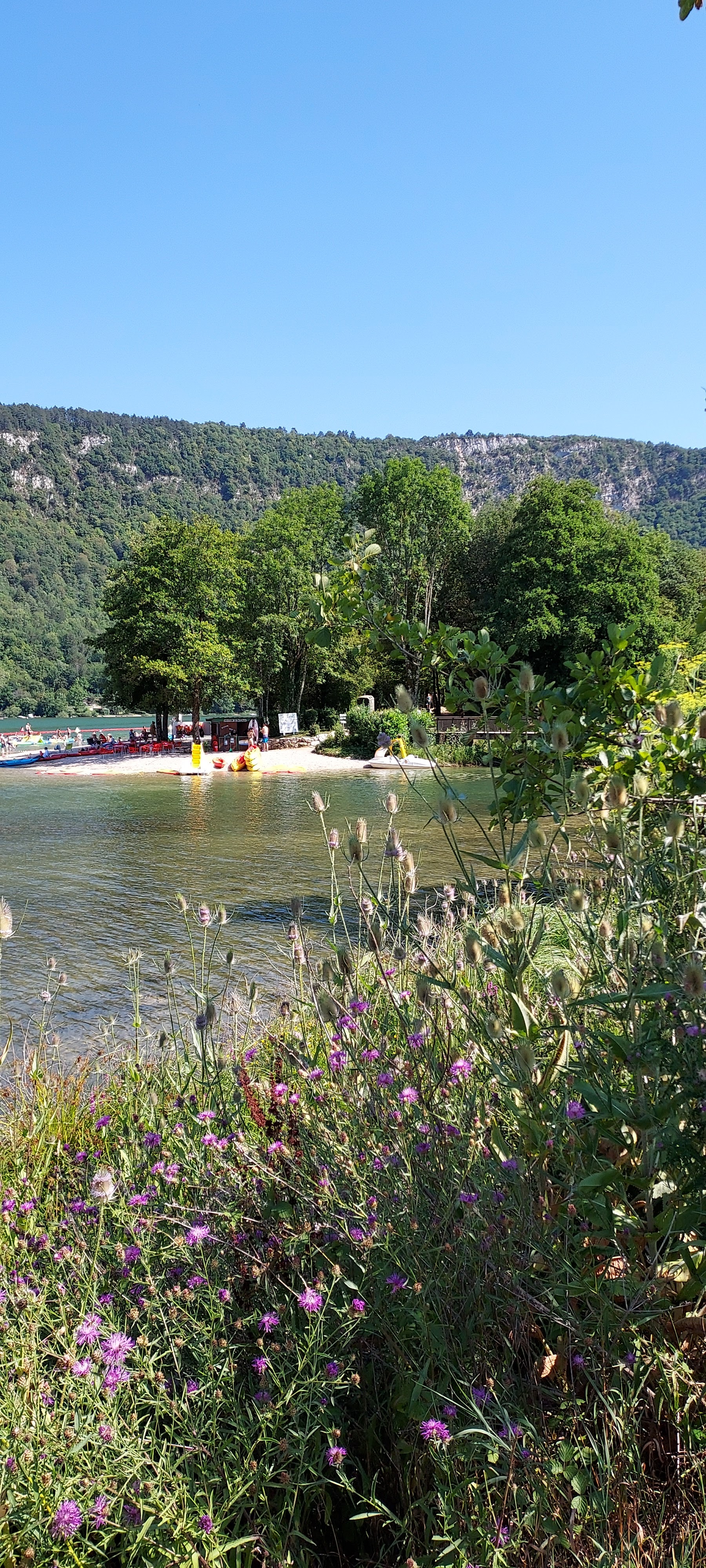 Photo n° 6 de l'avis de Christiane.e fait le 18/07/2023 à 06:34