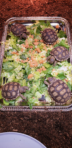 Pet Supply Store «Pet Den», reviews and photos, 1209 Nederland Ave, Nederland, TX 77627, USA