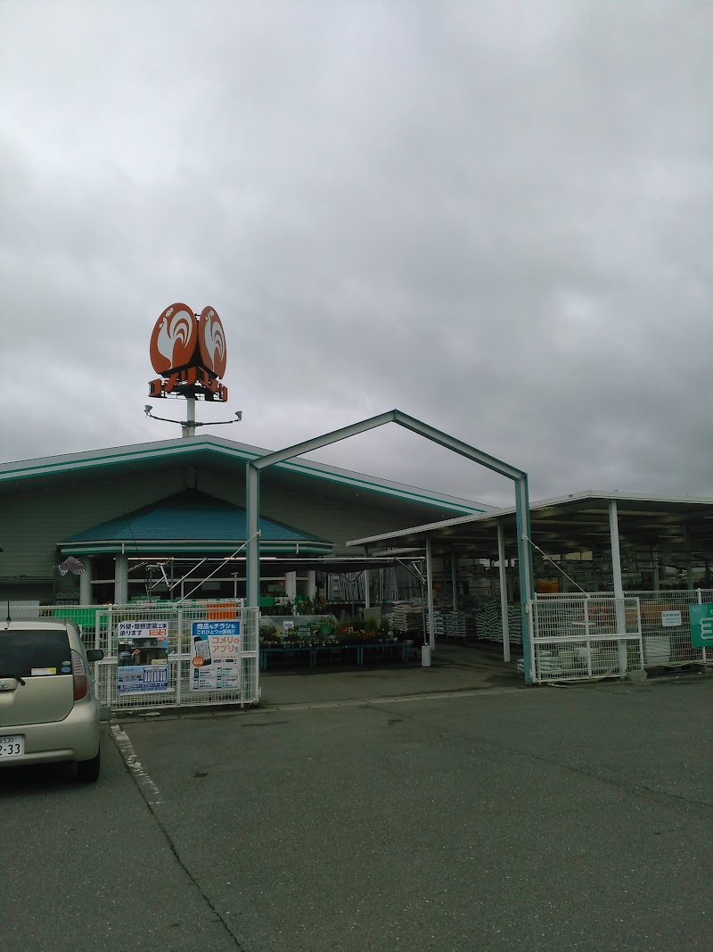 コメリハード＆グリーン米山店