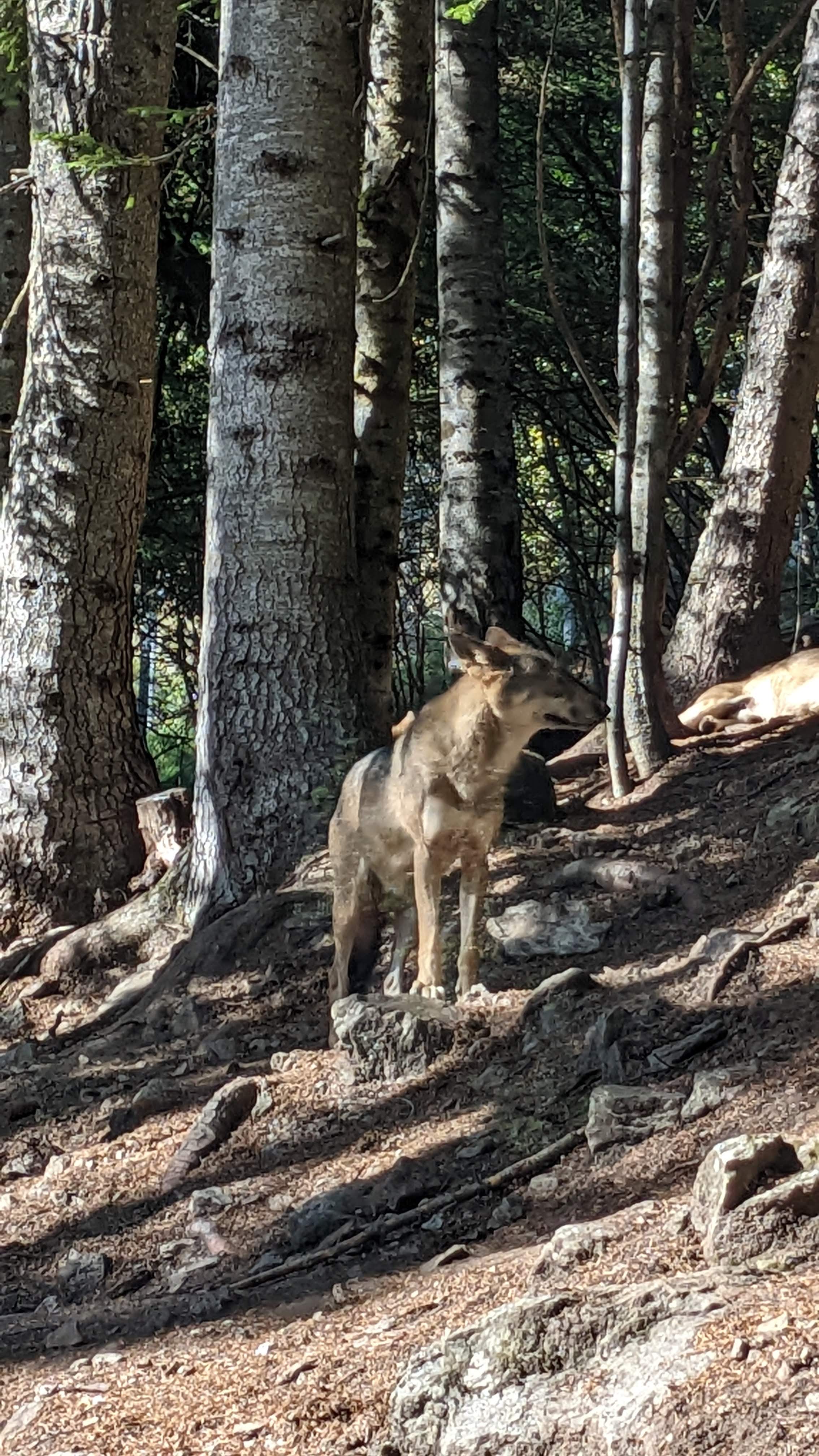 Photo n° 8 de l'avis de Florian.o fait le 11/09/2022 à 15:52
