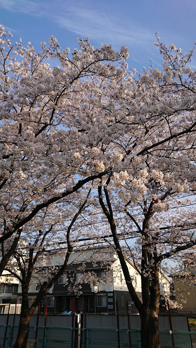 井堰公園