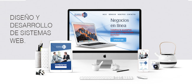 Opiniones de Desarrollo593 en Cuenca - Diseñador de sitios Web