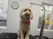 PetSuites Worthington - Photo 7 - Car repair in Columbus, OH, Columbus