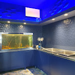 Photo n°37 de l'avis de Raffaeros. fait le 10/09/2023 à 13:09 sur le  Blu Ristorante à Monte di Procida