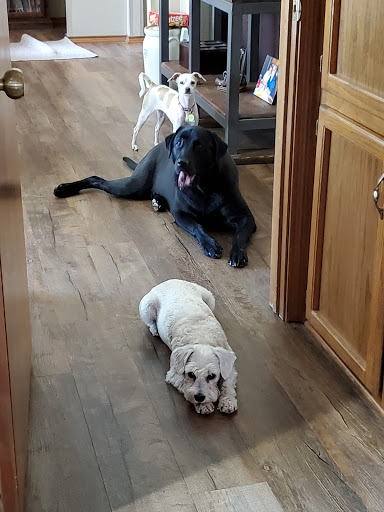 1631 McQueeney Rd, New Braunfels, TX 78130, USA