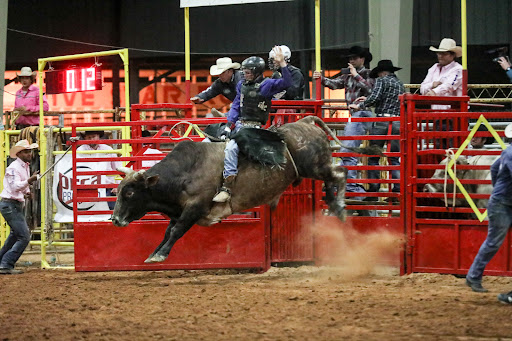 Event Venue «Southeastern Livestock Pavilion», reviews and photos, 2232 NE Jacksonville Rd, Ocala, FL 34470, USA