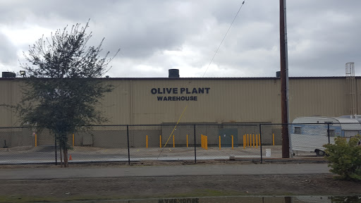 Olive Plant Warehouse