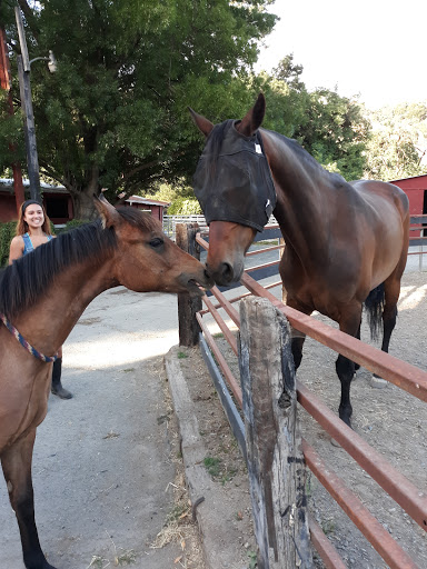 Pet Supply Store «Concord Feed Pet & Livestock Supplies», reviews and photos, 228 Hookston Rd, Pleasant Hill, CA 94523, USA