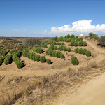 Photo n°21 de l'avis de João.i fait le 17/09/2020 à 14:07 sur le  Monte do Alento - Castro da Cola à Baixo Alentejo