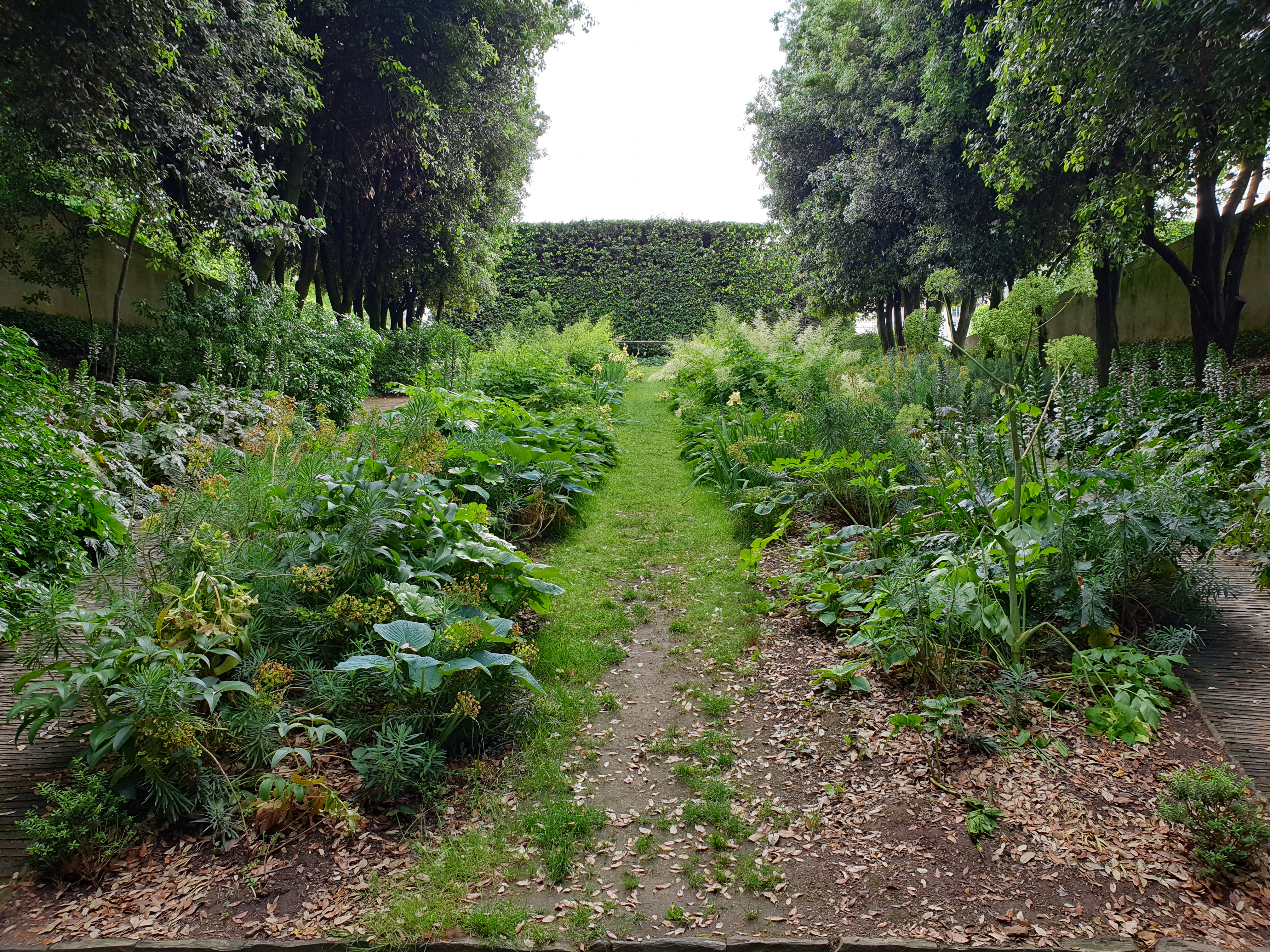 Photo n° 1 de l'avis de Sylvain.o fait le 04/06/2019 à 14:15